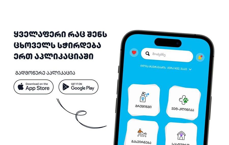 TATI – The App for Pet Owners: What Does It Offer to Its Users?